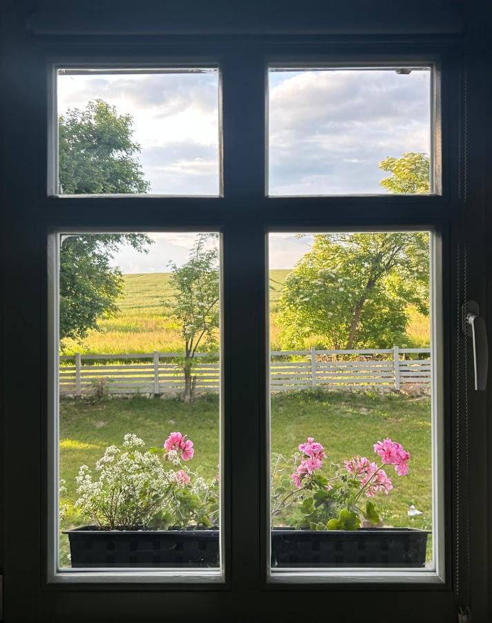 Gryfów Śląski Dom Na Krzewiu B&B 외부 사진